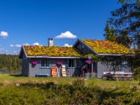Reinavegen